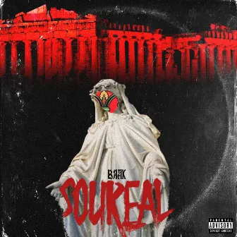 Soureal by Brak the Mask