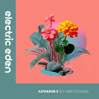 No Hard Feelings by Katharine E