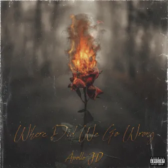 Where Did We Go Wrong by Apollo JD