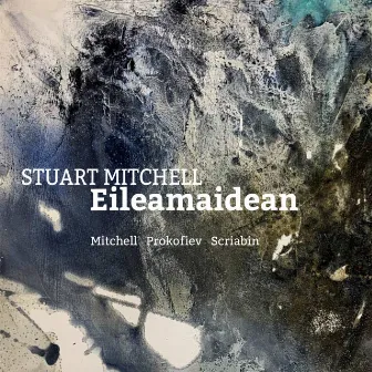 Stuart Mitchell: Eileamaidean by Stuart Mitchell