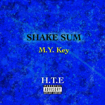 Shake Sum by M.Y. Key