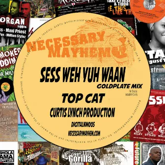 Sess Weh Yuh Want (feat. Top Cat) by Necessary Mayhem