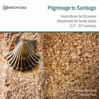 Pilgrimage to Santiago by Werner Pees