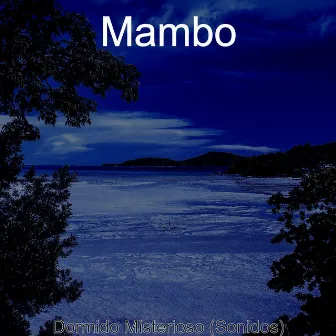 Dormido Misterioso (Sonidos) by Mambo