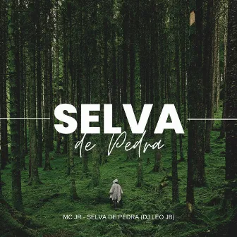 Selva de Pedra by MC JR