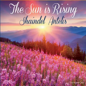 The Sun Is Rising by Shaindel Antelis