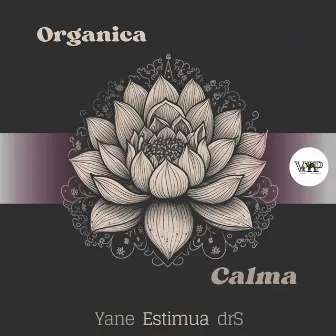 Calma (Yane Remix) by YANE