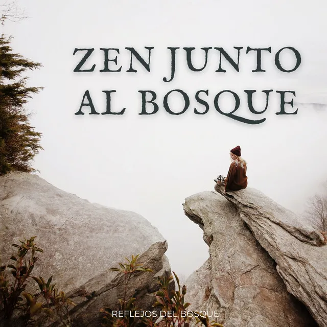 Viaje De Bosques Meditativos