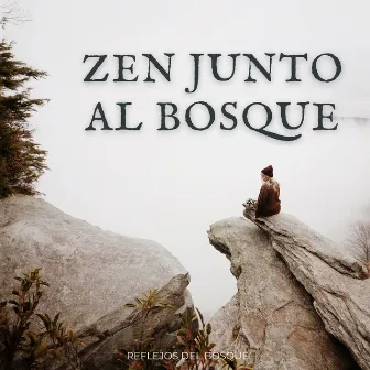 Zen Junto Al Bosque: Reflejos Del Bosque by Tarde relajante