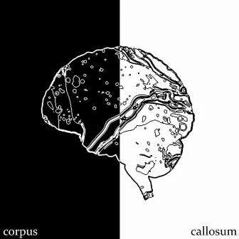 Corpus Callosum by ga