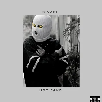 Not Fake by BIVACH