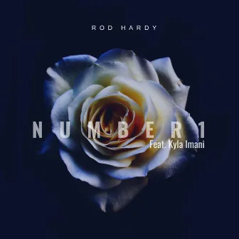 Number 1 by Rod Hardy