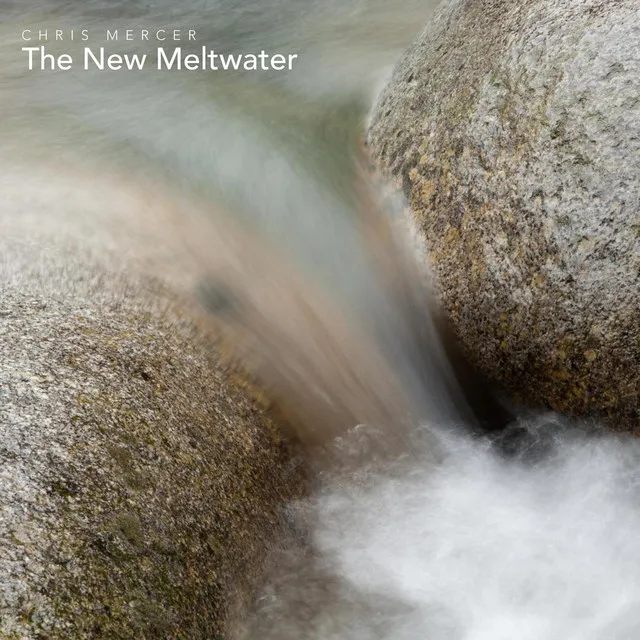 The New Meltwater