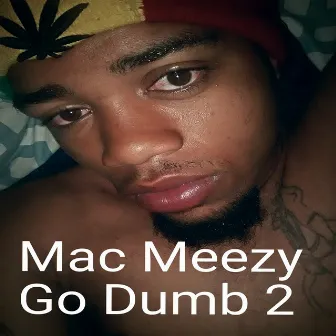 Go Dumb 2 by Mac Meezy