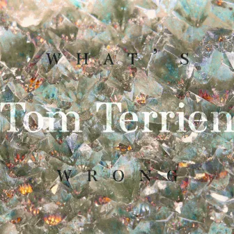 What's Wrong? by Tom Terrien