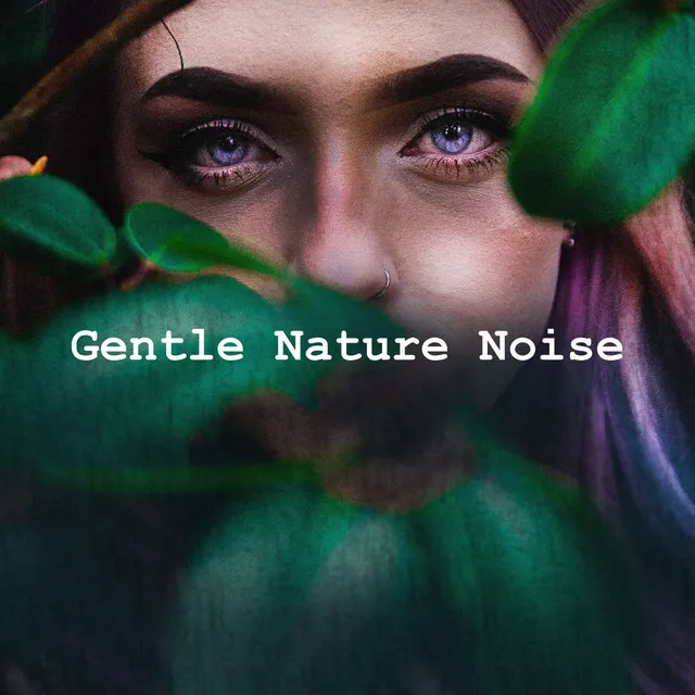 Gentle Nature Noise