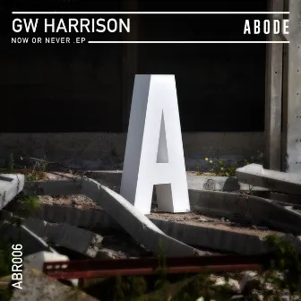 Now Or Never EP by GW Harrison