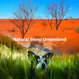 Natural Sleep Dreamland by Naturae