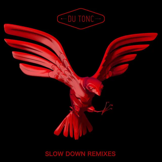 Slow Down - Matt Van Schie Remix