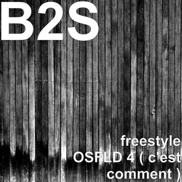 Freestyle (OSFLD 4 c'est comment)