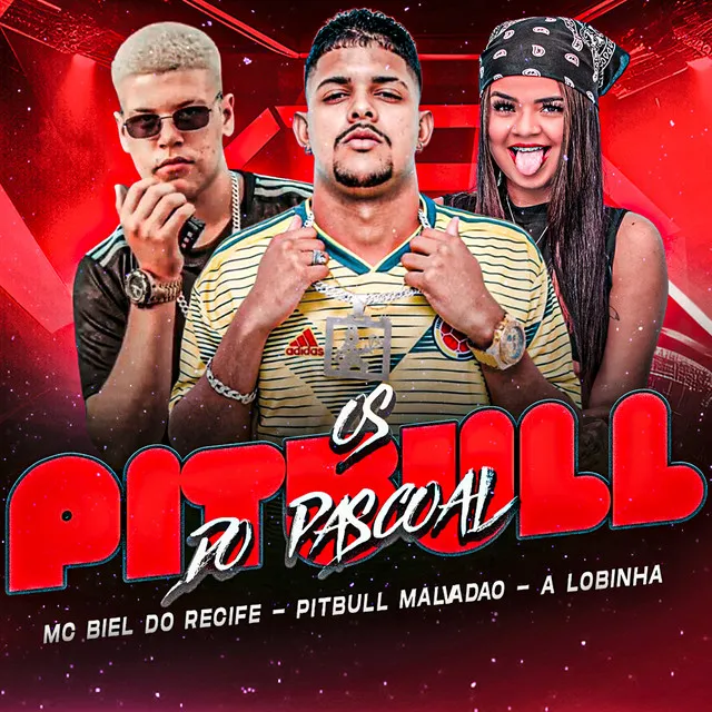 Os Pitbull do Pascoal