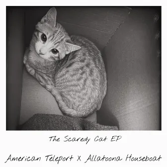 The Scaredy Cat EP by American Teleport