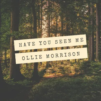 Have You Seen Me by Ollie Morrison