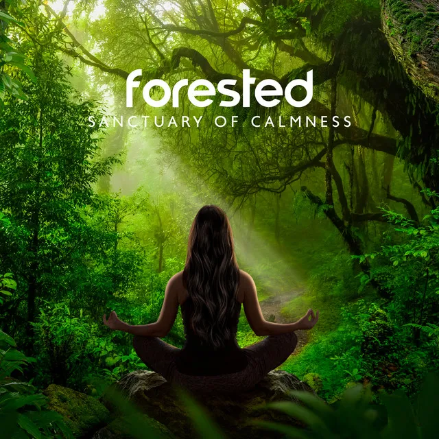 Forested Sanctuary of Calmness: Beautiful Nature Sounds for Stress Relief, Spa, Sleep & Relax