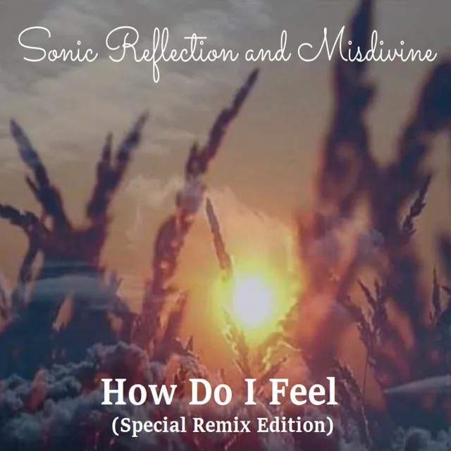 How Do I Feel (Special Remix Edition)