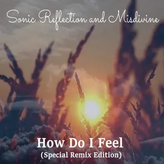 How Do I Feel (Special Remix Edition) by MiSDiViNE