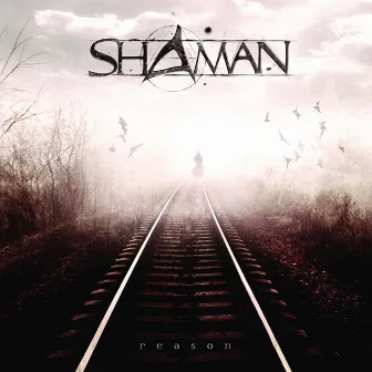 Reason by Shaman