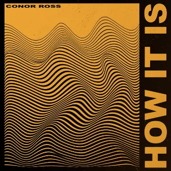 How It Is by Conor Ross