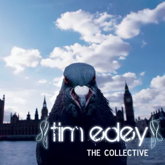 The Collective by Tim Edey