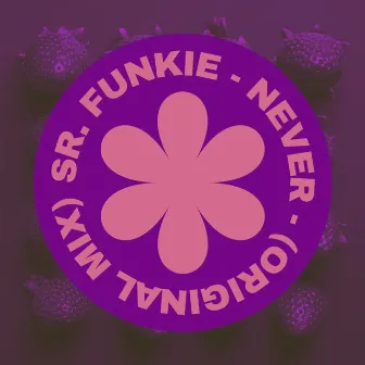 Never (Original Mix) by Sr. Funkie