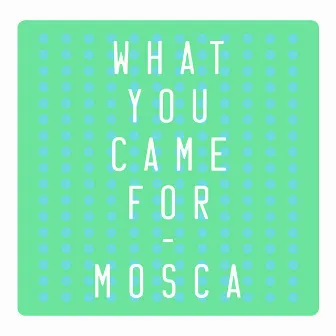 What You Came For by Mosca