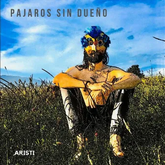 Pájaros Sin Dueño by Aristi