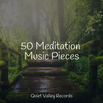 50 Meditation Music Pieces by Sons da Natureza & Relaxamento