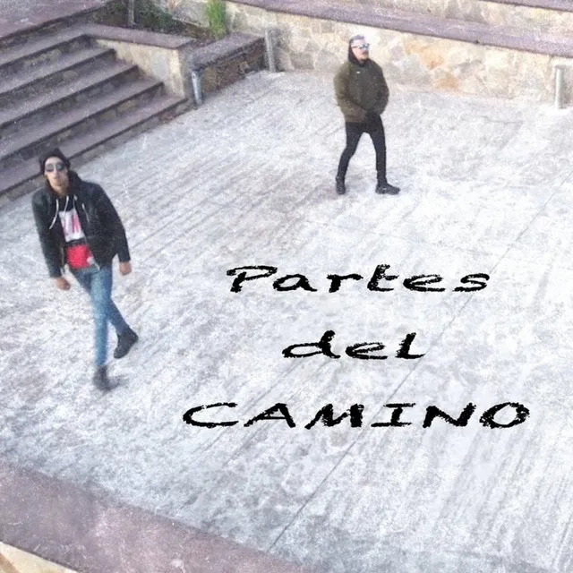 Partes del Camino