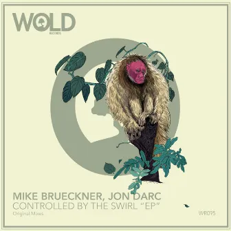 Controlled by the Swirl by Mike Brueckner