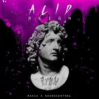 Acid Reign by Makia