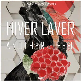 Another Life EP by Hiver Laver