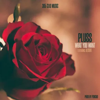 What You Want by Pluss