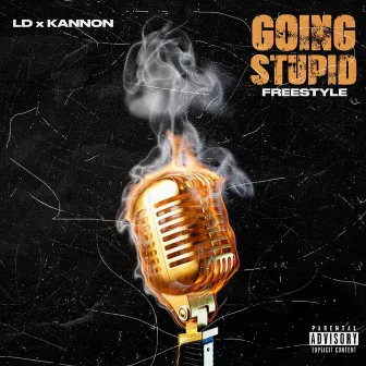 Going Stupid Freestyle by Kannon Beats