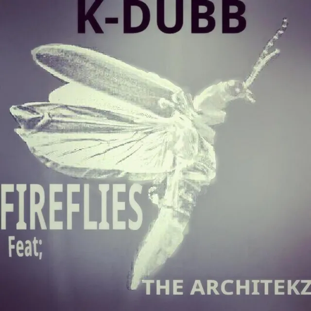 Fireflies (feat. The Architekz)