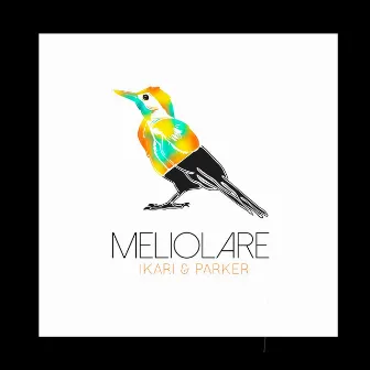 Meliolare by Parker