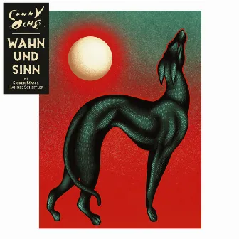 Wahn und Sinn by Conny Ochs