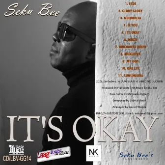 IT'S OKAY by Seku Bee