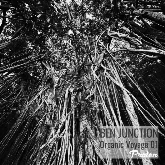 Organic Voyage 01 (DJ Mix) by Ben Junction