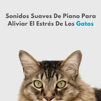 Sonidos Suaves De Piano Para Aliviar El Estrés De Los Gatos by Relaja a mi gato