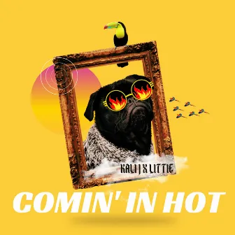 Comin' In Hot by LiTTiE